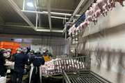 استحصال بیش از 28 هزار تن گوشت سفید در کشتارگاه های طیور شهرستان بجنورد